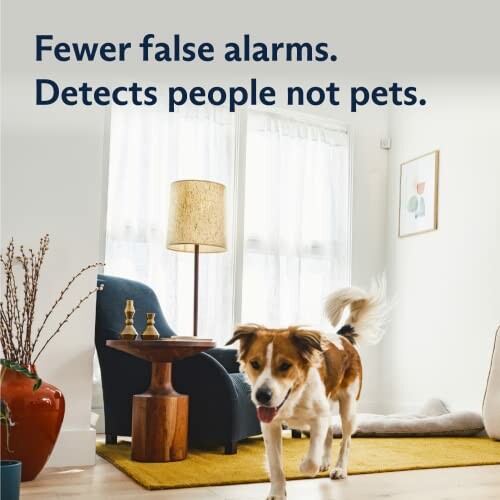 Dog in living room with text about fewer false alarms and detecting people not pets.